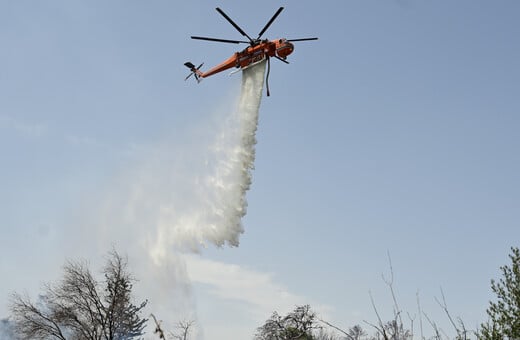 Υπό μερικό έλεγχο η φωτιά στην Πλάτη Μεσσηνίας