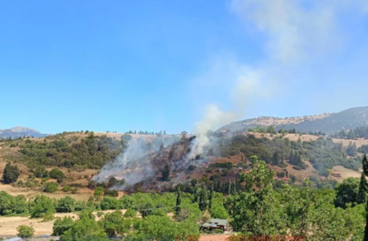 Φωτιά στην Αχαΐα: Σηκώθηκαν εναέρια μέσα