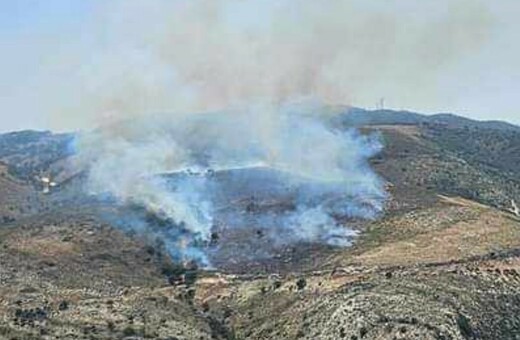 Φωτιά τώρα στην Κεφαλονιά: Καίει βλάστηση στην περιοχή του Μύρτου