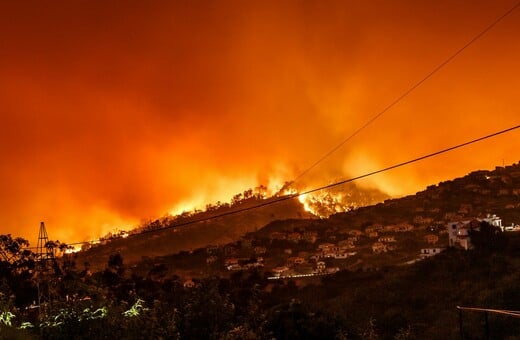 Υπερδιπλασιάστηκαν παγκοσμίως οι δασικές πυρκαγιές την τελευταία 20ετία