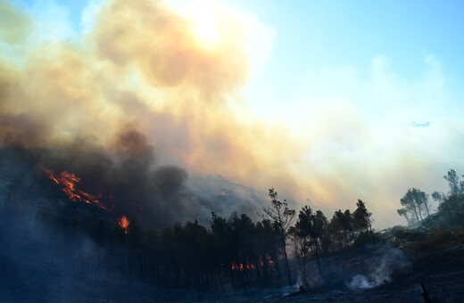 Φωτιά τώρα στην Εύβοια: Καίγεται δάσος στη Νέα Αρτάκη