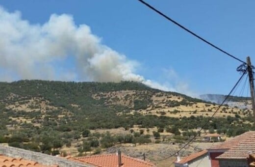 Φωτιά τώρα στη Λέσβο: Επιχειρούν 8 αεροσκάφη