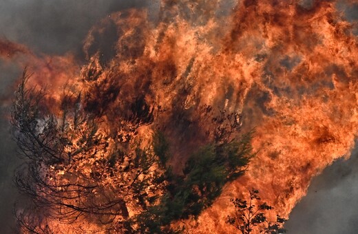 Φωτιά καίει τώρα δάσος στα Σερζιανά Ιωαννίνων