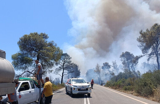 Φωτιά στο Σοφικό: Δεν έχει τεθεί υπό έλεγχο - Ισχυροί άνεμοι δυσκολεύουν την Πυροσβεστική