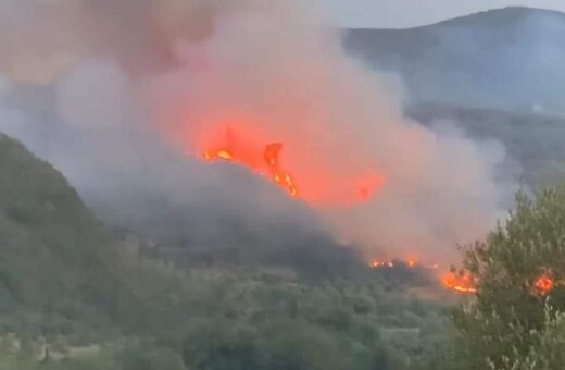 Φωτιά στη Μεταμόρφωση Μεσσηνίας