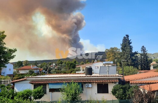 Φωτιά στον Πισσώνα Ευβοίας: Ενισχύθηκαν οι πυροσβεστικές δυνάμεις - Μήνυμα του 112 για απομάκρυνση από το Αφράτι