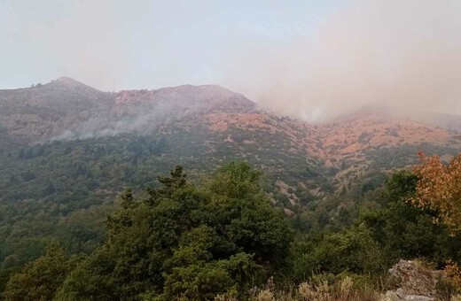 Φωτιά στη Θεσπρωτία: Καίει σε ναρκοπέδιο του εμφυλίου - Εκρήξεις στην περιοχή