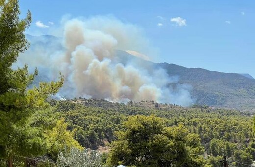 Φωτιά τώρα στα Μέγαρα: Μήνυμα 112 για εκκένωση 