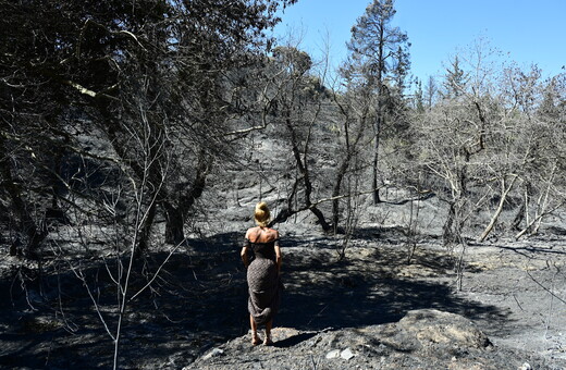 Η φωτιά στην Αττική έκαψε πάνω από 85.000 στρέμματα γης, λέει το Copernicus