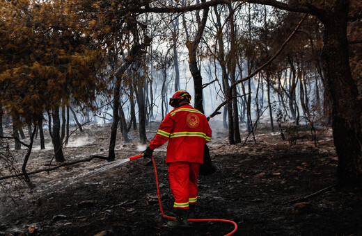 Στην ανακρίτρια σήμερα ο 80χρονος που κατηγορείται για την πρόκληση 4 πυρκαγιών από πρόθεση