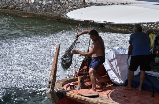 Βόλος: Ξεκίνησαν να απομακρύνονται τα νεκρά ψάρια