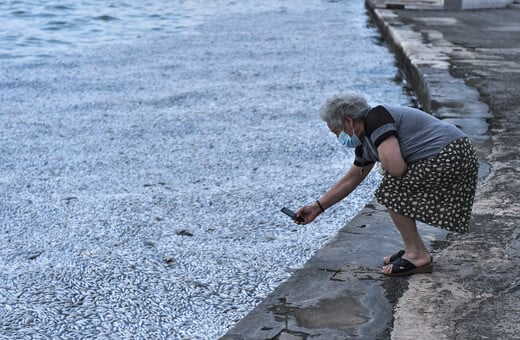 Παγκόσμια ανησυχία για τα νεκρά ψάρια στον Βόλο - Τι γράφουν τα διεθνή ΜΜΕ