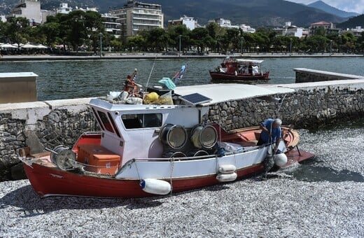 Νεκρά ψάρια στο Βόλο: «Έφυγε το 90% των πελατών» από τα ξενοδοχεία