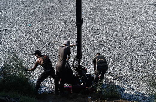 Πόλεμος ευθυνών για τα νεκρά ψάρια στον Βόλο- Άγρια κόντρα Μπέου-Κουρέτα