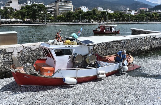 Λιμεναρχείο Βόλου: Σε ποιες παραλίες του Παγασητικού απαγορεύεται η κολύμβηση λόγω των ψαριών