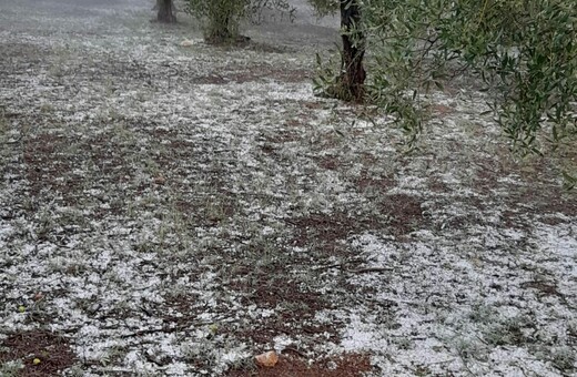 Σφοδρή χαλαζόπτωση στο Βελβεντό Κοζάνης