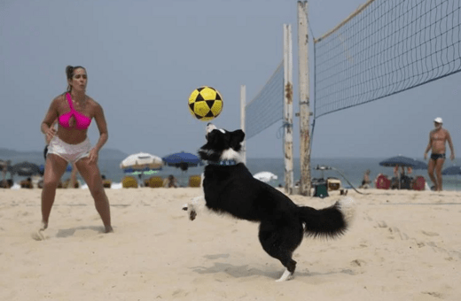 Ο Φλόκι, ο σκύλος που «διδάσκει» footvolley στις παραλίες του Ρίο 