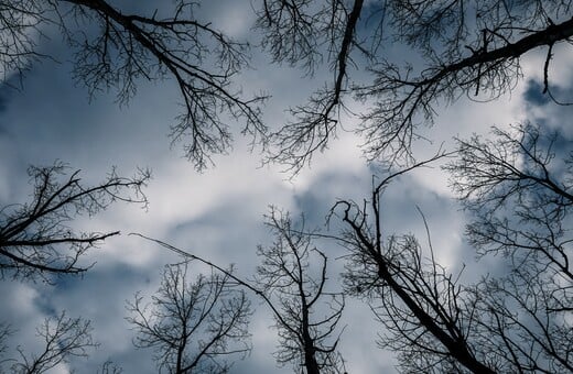 Καιρός - Meteo: H απόλυτη ελάχιστη θερμοκρασία - Πού άγγιξε ο υδράργυρος τους 0,3 βαθμούς Κελσίου σήμερα