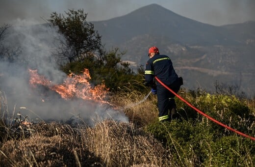 Φωτιά στις Καρίνες Ρεθύμνου