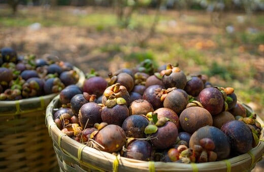 Mangosteen: Tο viral φρούτο του Tik Tok 