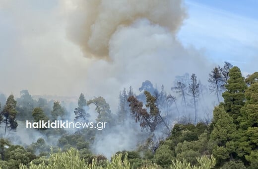 Φωτιά στη Χαλκιδική: Μήνυμα 112 για τον οικισμό Τυπάδες Μαρμαρά 