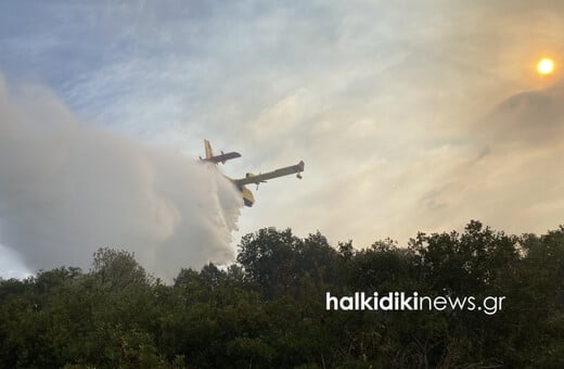 Φωτιά στη Χαλκιδική: Καίγονται ελαιόδεντρα κοντά σε οικισμούς