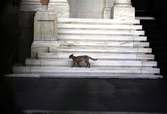 Εκτάκτως στο Μαξίμου ο Στουρνάρας