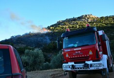 Νέα πυρκαγιά στη Μαλακάσα