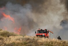 Πυρκαγιά στην περιοχή Ποτάμι Καρλοβάσου στη Σάμο