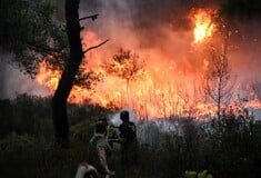 Βοήθεια από το εξωτερικό ζητάει η Ελλάδα για τις πυρκαγιές- 6 άνθρωποι με εγκαύματα στο νοσοκομείο