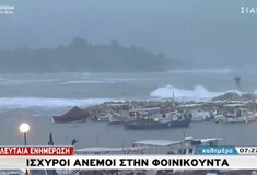 Τεράστια κύματα στη Φοινικούντα - Έκτακτο δελτίο θυελλωδών ανέμων εξέδωσε η ΕΜΥ