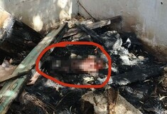 Άγνωστοι έκαψαν ένα σκυλί ζωντανό μέσα στο σπιτάκι του