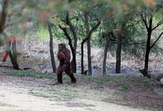 Τον πυροβόλησε γιατί πίστευε πως ήταν ο Bigfoot