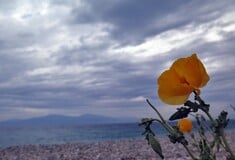 Άστατος ο καιρός με βροχές και ισχυρές καταιγίδες