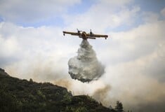 Φωτιά στην Εύβοια: Αίτημα συνδρομής για πυροσβεστικά αεροσκάφη στην ΕΕ - Ποιες χώρες ανταποκρίθηκαν