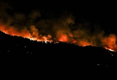 Φωτιά στην Εύβοια: Μάχη με τις φλόγες, εκκενώσεις χωριών και Πυροσβέστες απ' όλη την Ελλάδα στο μέτωπο