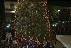 Χαλκιδική: Φωταγωγήθηκε το πρώτο Χριστουγεννιάτικο δέντρο στην Ελλάδα