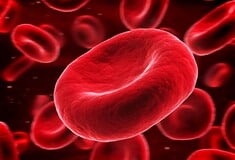 Έλληνας ερευνητής δημιούργησε το πρώτο σύστημα τεχνητής νοημοσύνης που ταυτοποιεί τα ερυθρά αιμοσφαίρια στο αίμα