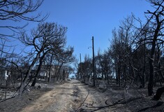 Περιφερειακός σύμβουλος Δούρου: Είχα ειδοποιήσει από νωρίς ότι η φωτιά θα πήγαινε στο Μάτι