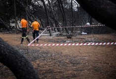 Νέα δεδομένα για τα αίτια της πυρκαγιάς - Υπήρξε καύση ξύλων πριν την τραγωδία