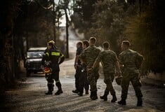 Στους 88 οι νεκροί από τις πυρκαγιές- Δραματικός ο αγώνας δρόμου για τις εξετάσεις DNA και τις ταυτοποιήσεις