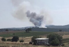 Φωτιά στην Εύβοια: Απομακρύνονται κάτοικοι - Ενισχύονται οι δυνάμεις της πυροσβεστικής