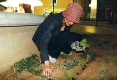 Guerilla Gardening στην Αθήνα