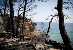 Πυροσβεστική: 85 οι ταυτοποιημένοι νεκροί από τις πυρκαγιές