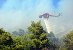 Πολύ υψηλός κίνδυνος πυρκαγιάς σήμερα - Ποιες περιοχές κινδυνεύουν