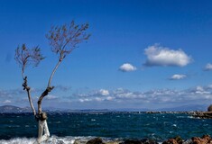 Βελτίωση του καιρού σήμερα -Άνεμοι έως 9 μποφόρ