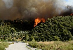 Φωτιά στην Αχαΐα: Εσπευσμένα στη Ζήρια ο Χαρδαλιάς- Καίγονται σπίτια, εκκενώθηκαν οικισμοί