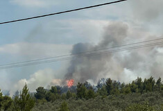 Φθιώτιδα: Προσαγωγή ανήλικου για φωτιές στον Θεολόγο