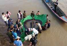 Καμπότζη: Ψαράδες έπιασαν σαλάχι 300 κιλών στον ποταμό Μεκόνγκ - «Το μεγαλύτερο ψάρι γλυκού νερού στον κόσμο