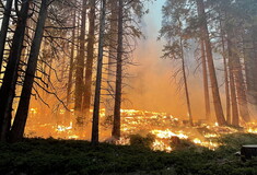 Καλύτερη η εικόνα της φωτιάς στο Yosemite που απειλεί υπεραιωνόβιες σεκόγιες - Αλλά ο καιρός δεν βοηθά